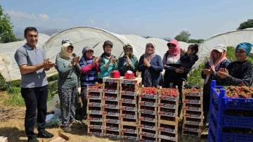 İşçi bayramını meydanda değil, tarlada kutladılar