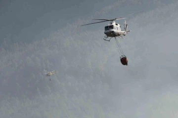 İspanya’daki orman yangınında 4 bin hektardan fazla alan kül oldu
