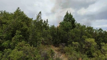 Isparta’da bahçe temizliği orman yangınına neden oldu