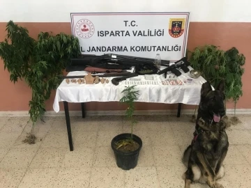 Isparta’da uyuşturucu operasyonu: 12 gözaltı
