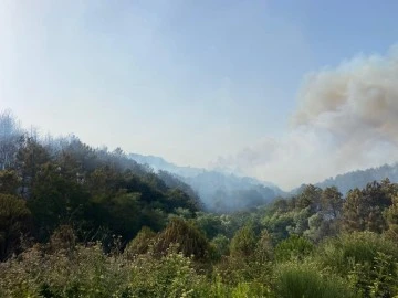 İstanbul Beykoz'da orman yangını 