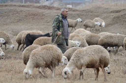 İstanbul’dan kaçtı, köyünde yaptığı hayvancılıkla huzuru buldu