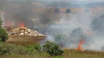 İstanbul - Kocaeli sınırında otluk alanda yangın
