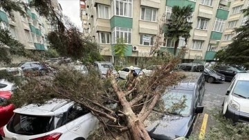 İstanbul'da fırtına hayatı olumsuz etkiledi