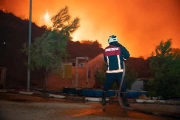 İtfaiye Daire Başkanı Aydın: &quot;Yangınlarla canla başla müdahale ettik&quot;
