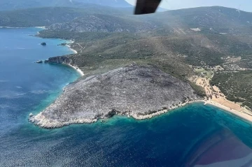 İzmir’de makilik alanda çıkan yangın kontrol altında
