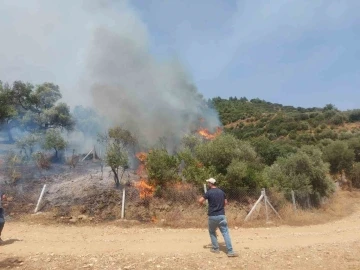 İzmir’de orman yangını başladı, havadan müdahale ediliyor
