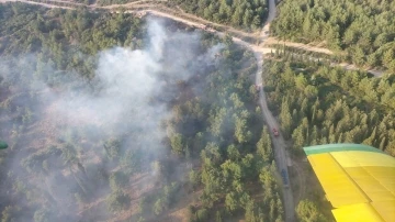 İzmir’deki orman yangını kontrol altında
