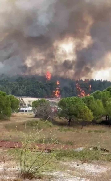 İzmir’deki orman yangınına havadan ve karadan müdahale
