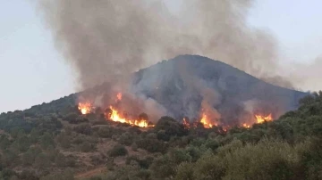 İzmir’deki orman yangınlarında 6 tutuklama
