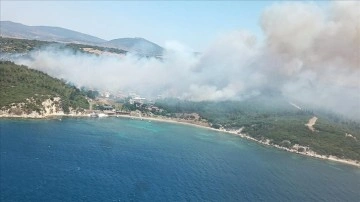 İzmir'de çıkan orman yangınlarına müdahale sürüyor