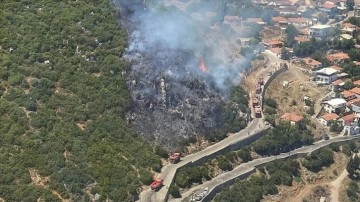 İzmir'in Kemalpaşa ilçesinde orman yangını çıktı