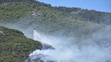 İzmir'in Kemalpaşa ilçesindeki orman yangını kontrol altına alındı