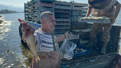 İznik Gölü'nde gümüş balığı bereketi