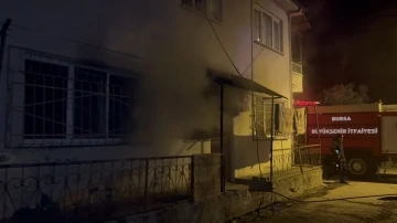 Bursa İznik'te korkutan yangın