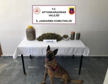 Jandarma 1 kilo 868 gram esrar ele geçirdi
