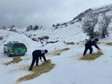 Jandarma çevre ve doğa koruma timleri yaban hayvanlarını unutmadı