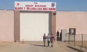 Jandarmadan aranan hırsızlık şüphelilerine operasyon: 24 tutuklama
