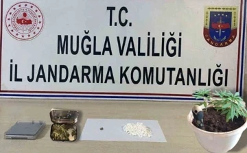 Jandarmadan Muğla genelinde uyuşturucu operasyonu
