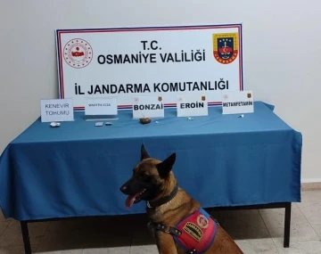 Jandarmadan uyuşturucu operasyonları: 2 kişi tutuklandı
