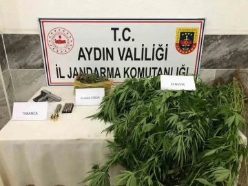 Jandarmadan uyuşturucu operasyonu: 1 gözaltı
