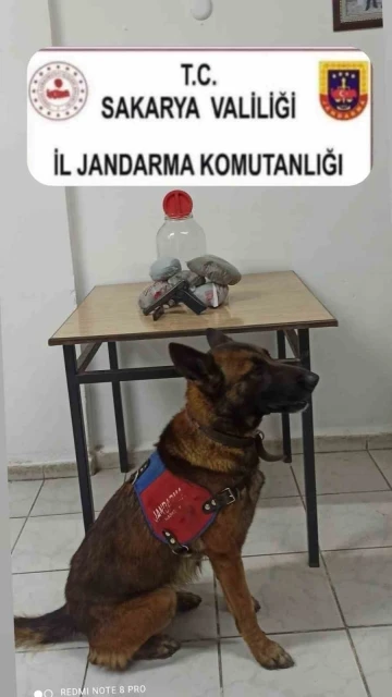 Jandarmadan uyuşturucu operasyonu: 1 gözaltı
