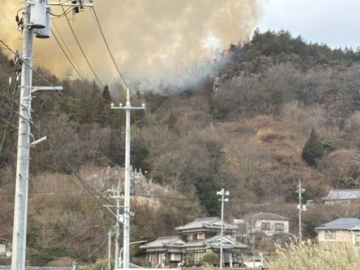 Japonya’da orman yangını: 150 kişi tahliye edildi
