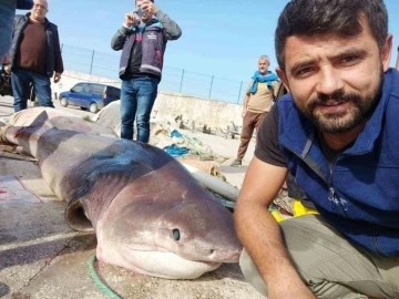 Bursa Gemlik'te 3,5 metre boyunda köpekbalığı yakalandı