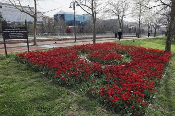 Kağıthane’de lale mevsimi başladı
