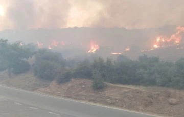 Kahramanmaraş’ta iki ayrı alanda örtü yangını
