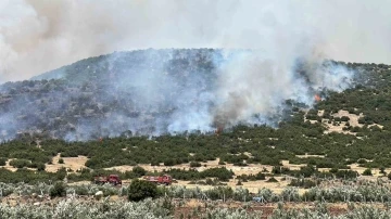 Kahramanmaraş’ta makilik alanda çıkan yangın kontrol altına alındı
