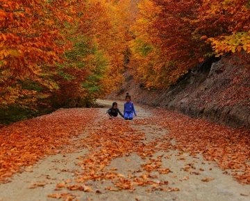 Kahramanmaraş’ta sonbahar renkleri
