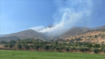 Kahramanmaraş'ta çıkan orman yangınına müdahale ediliyor