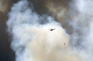 Kanada’da orman yangınlarında 1 kişi hayatını kaybetti
