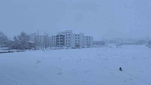 Kar, bir ilçenin tüm köy yollarını ulaşıma kapattı
