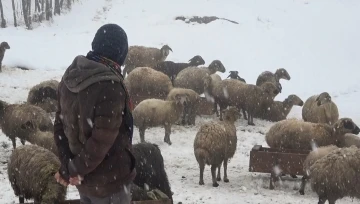 Kar geri geldi, hayat felç oldu
