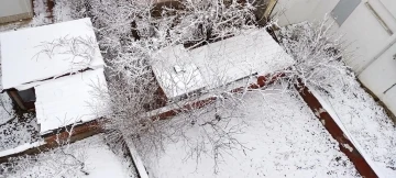 Kar yağışı Bozüyük’te etkili oldu
