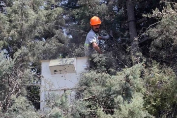 Karabağlar Yaylası’nda çevre düzenleme çalışmaları devam ediyor
