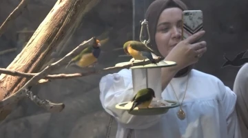 Karadeniz Bölgesi’nde ilk olma özelliği taşıyor
