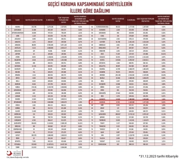 81 ilde bulunan yabancıların sayısı açıklandı