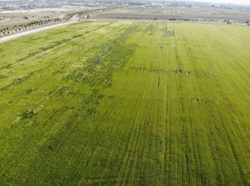 Karadeniz’den çıkan doğal gazla kurulacak gübre fabrikaları çiftçileri umutlandırdı
