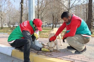 Karaköprü’de sokak hayvanları için dönüştürülmüş kaplar
