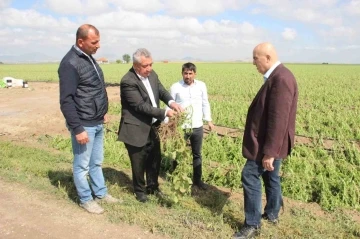 Karaman’da dolu ekili arazilere zarar verdi, tarlalar kış mevsimi gibi beyaza büründü
