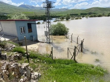 Karasu Nehri taştı, ekili tarlalar sular altında kaldı
