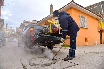 Haşere ile mücadele sürüyor