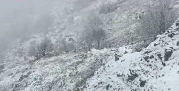 Karlı dağlarda  nesli tehlikedeki yaban keçileri görüntülendi