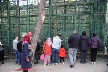 Karneyi alan hayvanat bahçesine koştu
