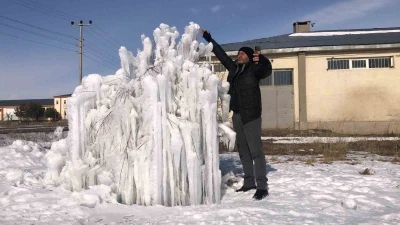 Kars baharda kışı yaşıyor: Şelale dondu, ağaç buzdan heykele döndü
