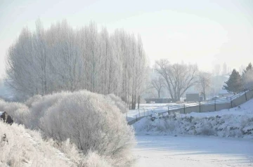 Kars dondu, ağaçlar kırağı tuttu
