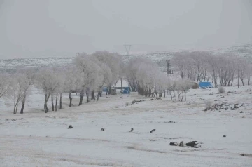 Kars’ta Lavaşın Gölü buz tuttu
